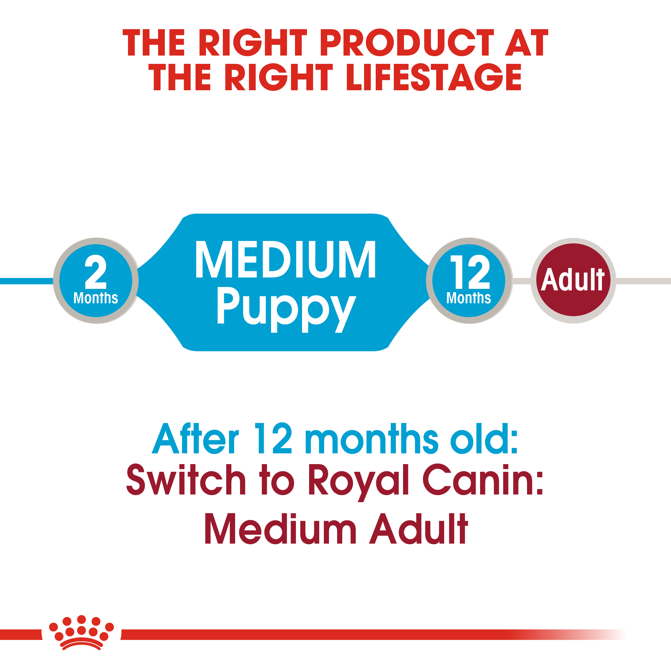 Royal Canin Medium Puppy 10 x 140g