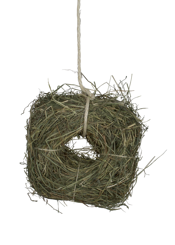 JR Farm Heu-Kranz "Welcome" Löwenzahn