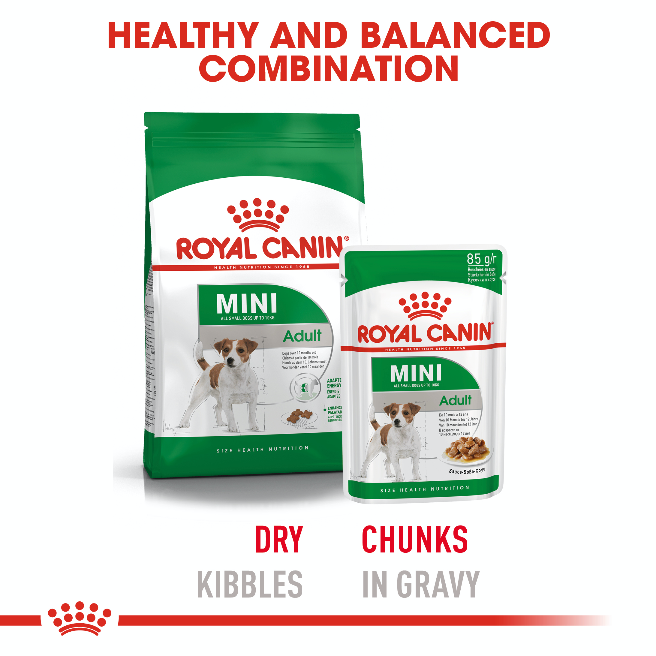 Royal Canin Mini Adult 12 x 85g