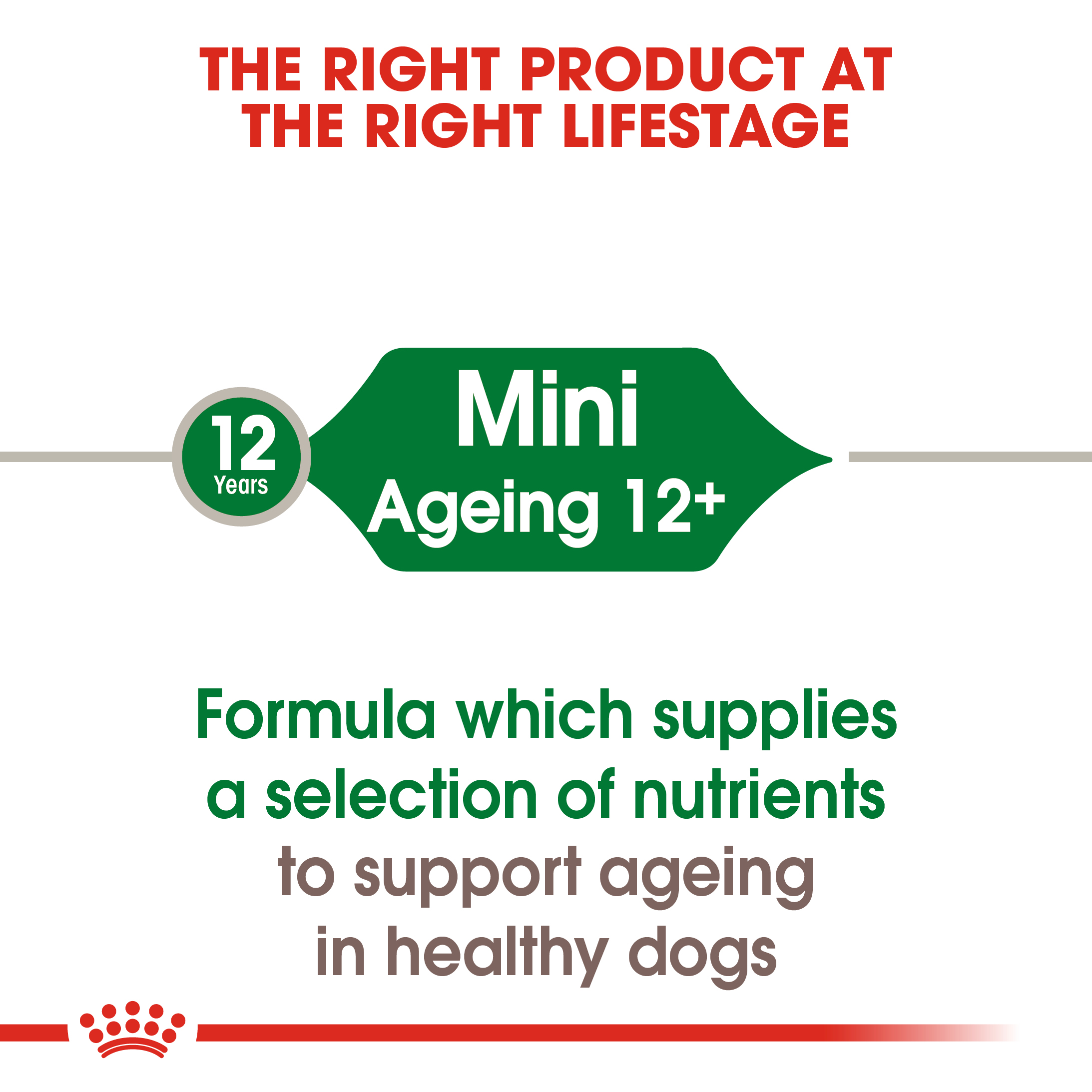 Royal Canin Mini Ageing 12+ 12 x 85g