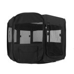 Canvas Box Tim und Struppi