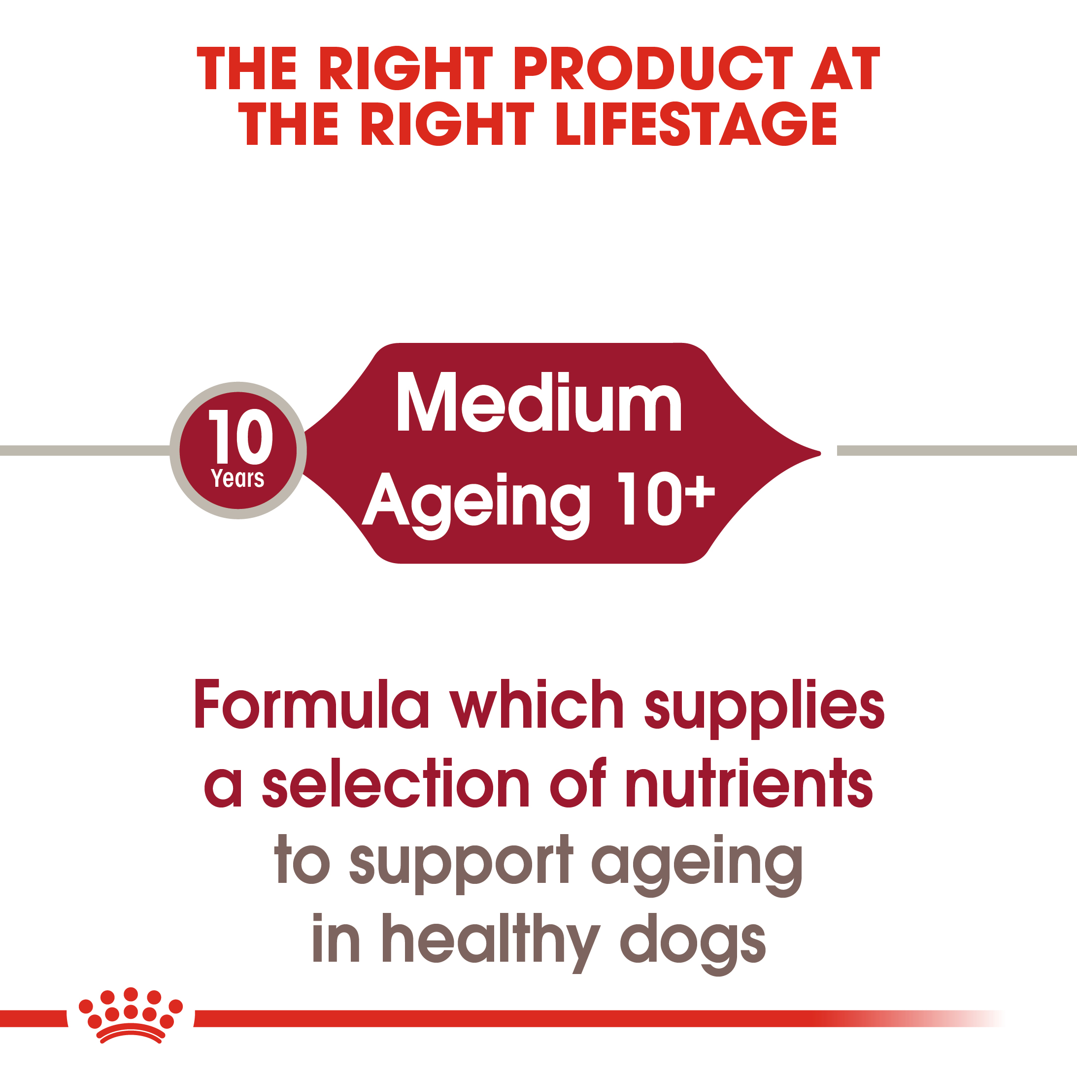 Royal Canin Medium Ageing 10+ 10 x 140g