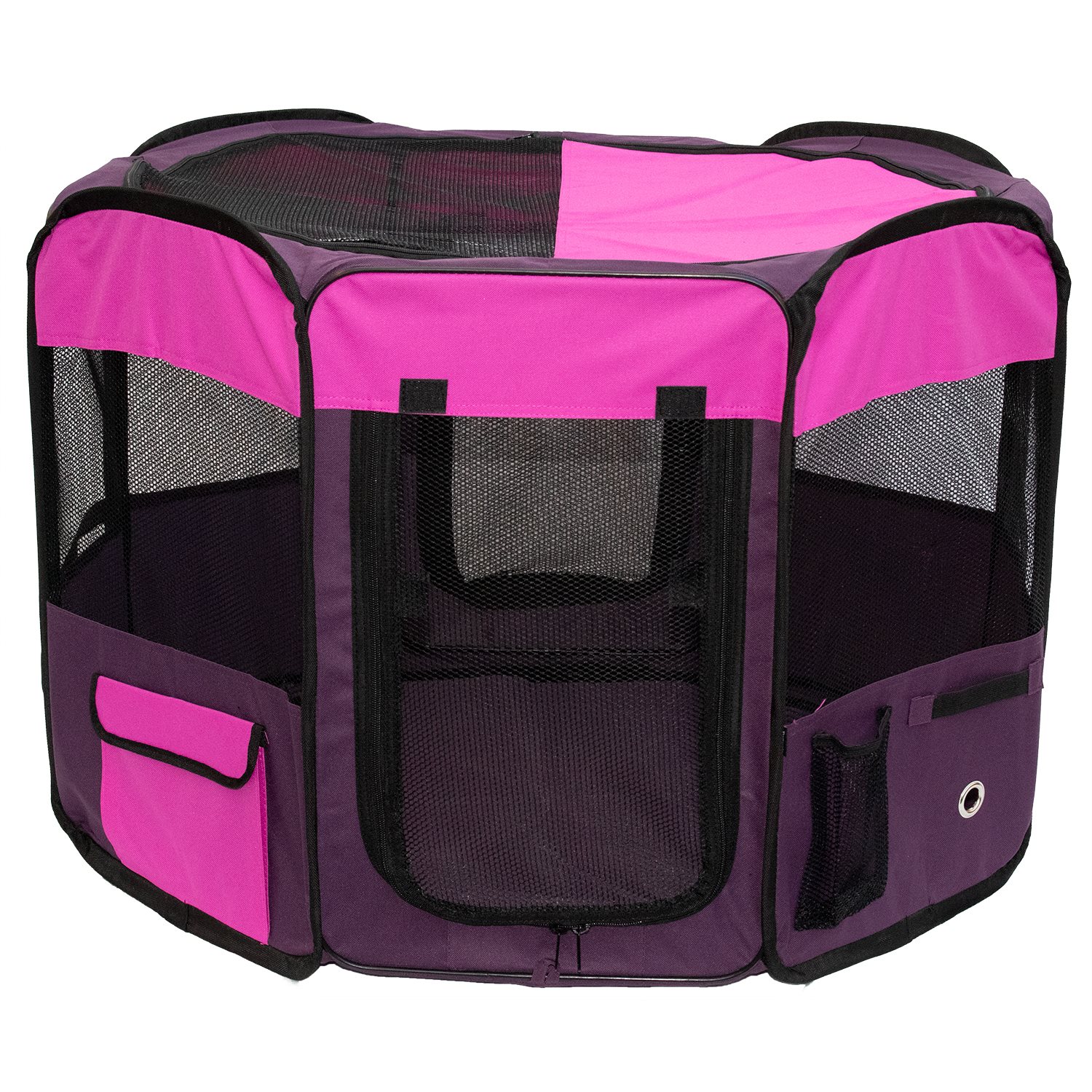 Canvas Box Tim und Struppi