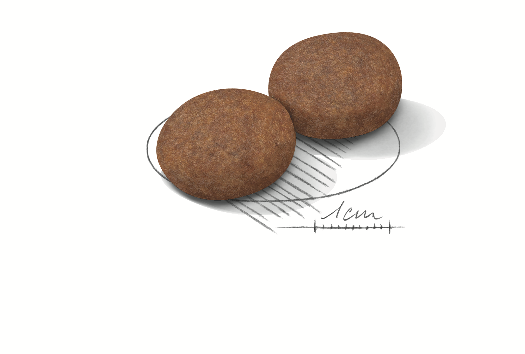 Royal Canin Medium Adult 7+