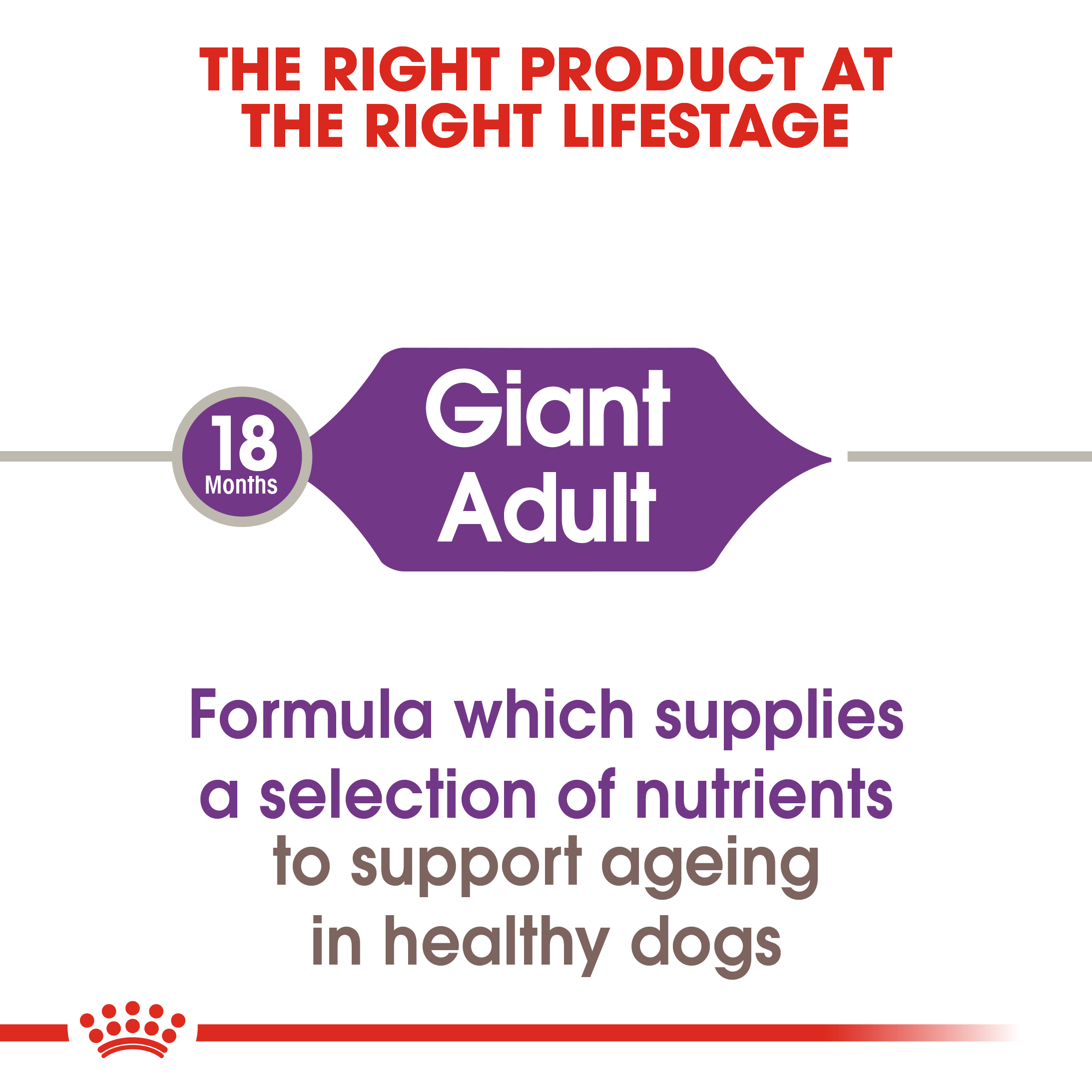 Royal Canin Giant Adult 15kg