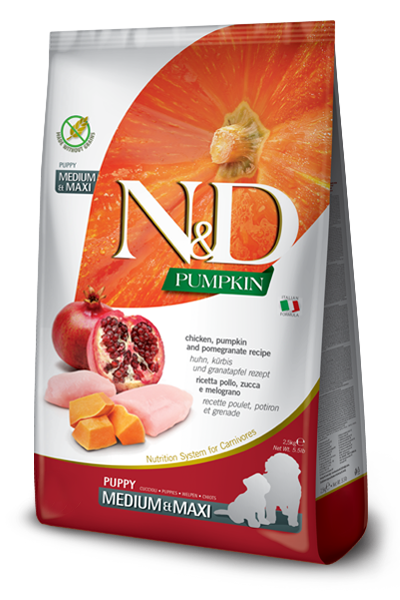 N&D Pumpkin canine Chicken, Pumpkin and Pomegranate Puppy Medium & Maxi