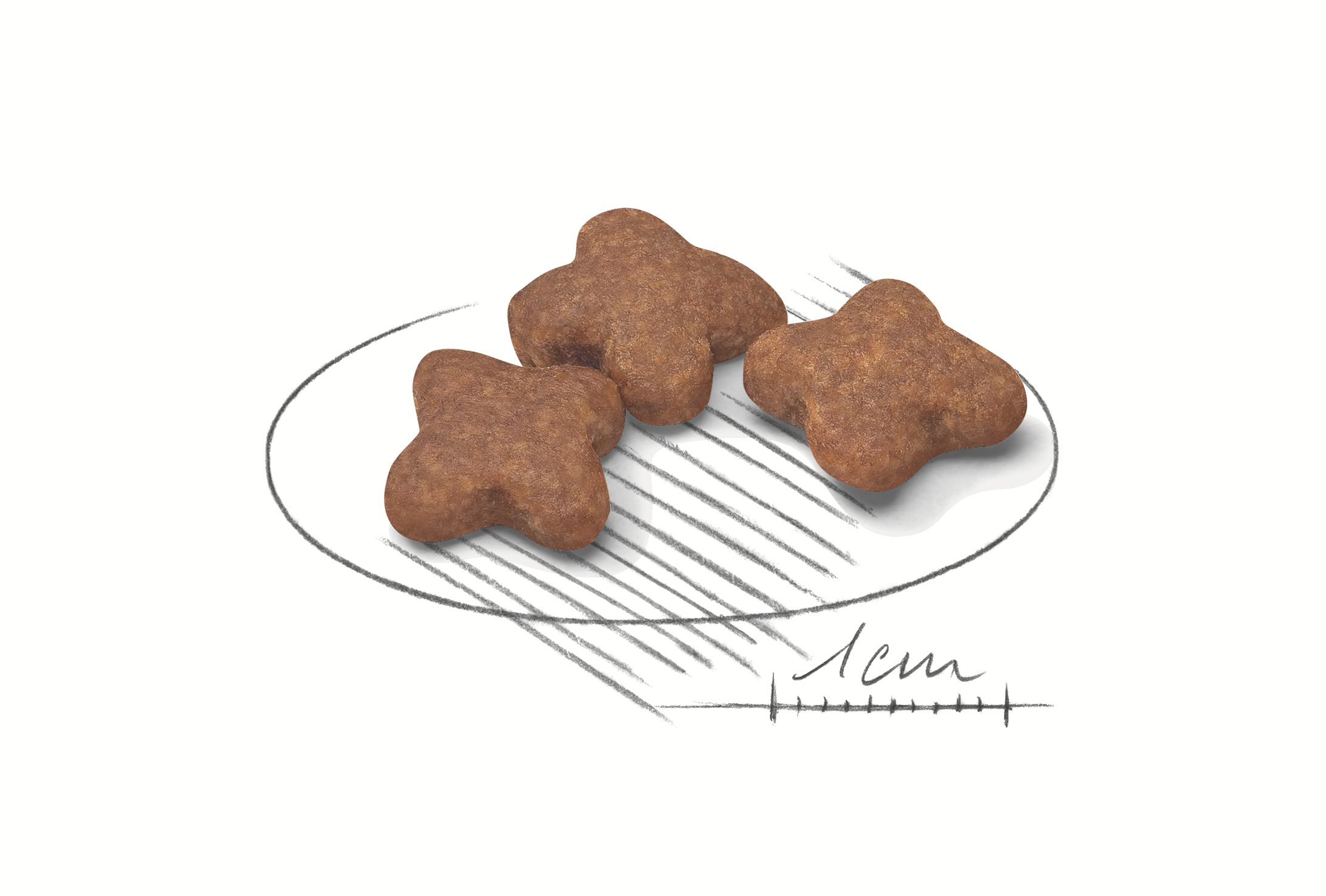 Royal Canin Mini Adult 8+