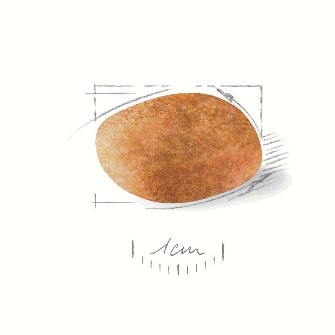 Royal Canin Dalmatian 12kg