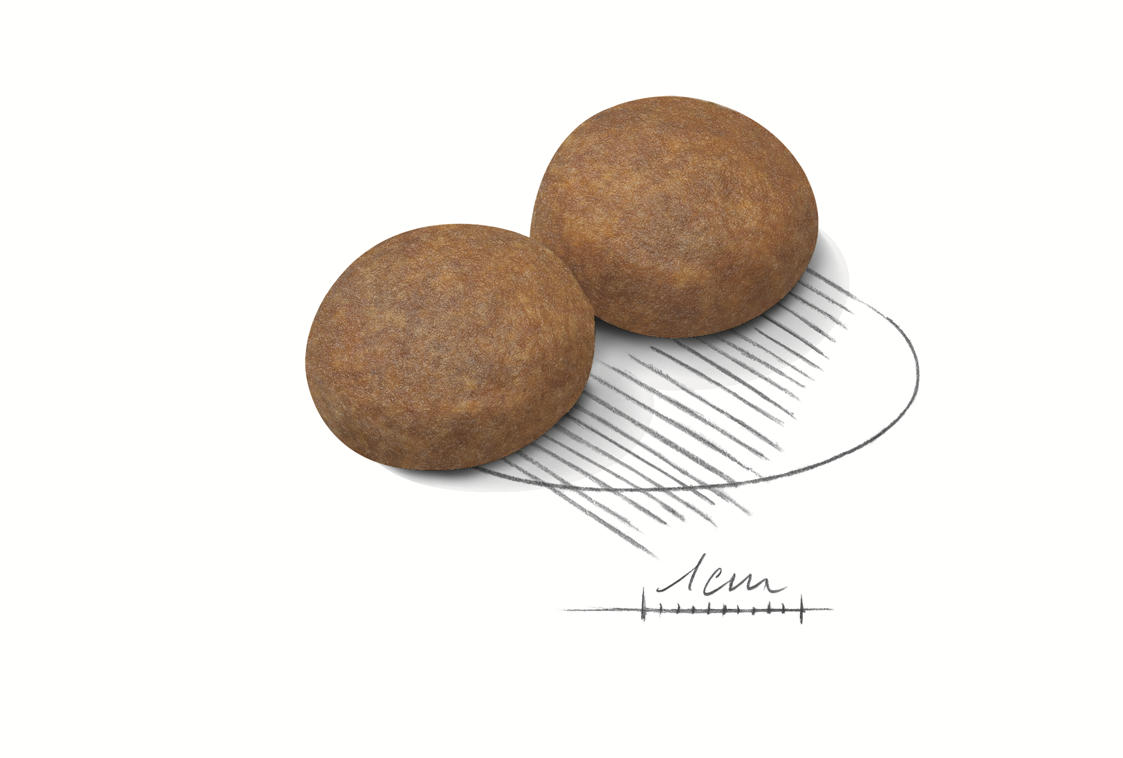 Royal Canin Maxi Adult 5+