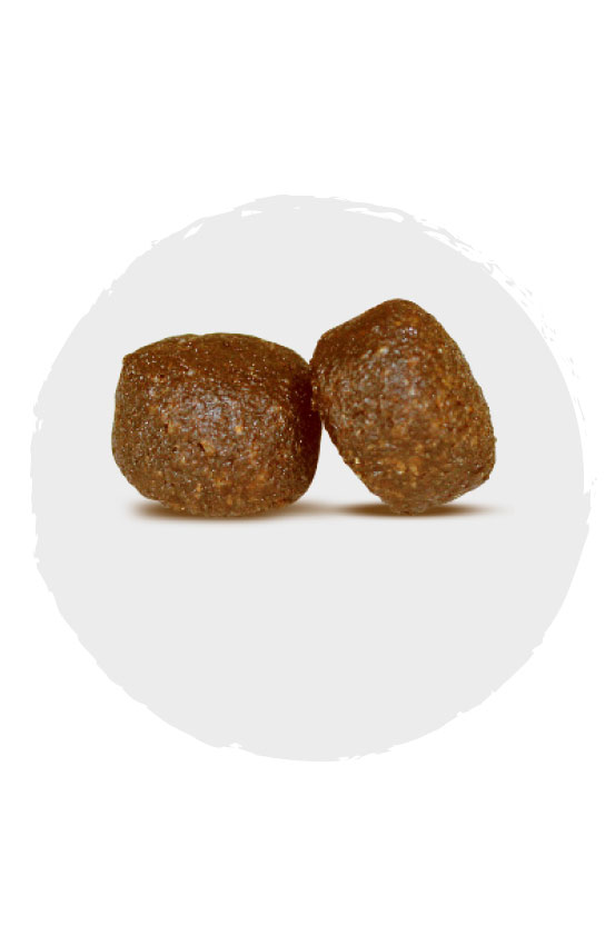 kyli Soft Fresh Chicken adult med.