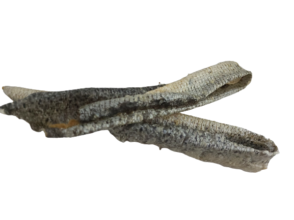 Lachshaut XXL - frisch getrocknet