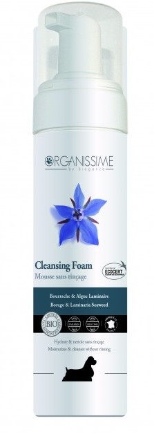 Biogance Trockenmousse EcoSain Bio 200ml