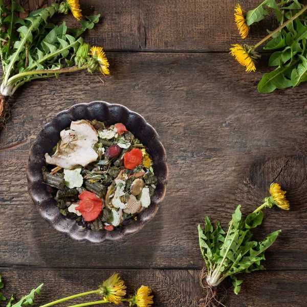 JR Grainless Mix Chinchilla & Degu