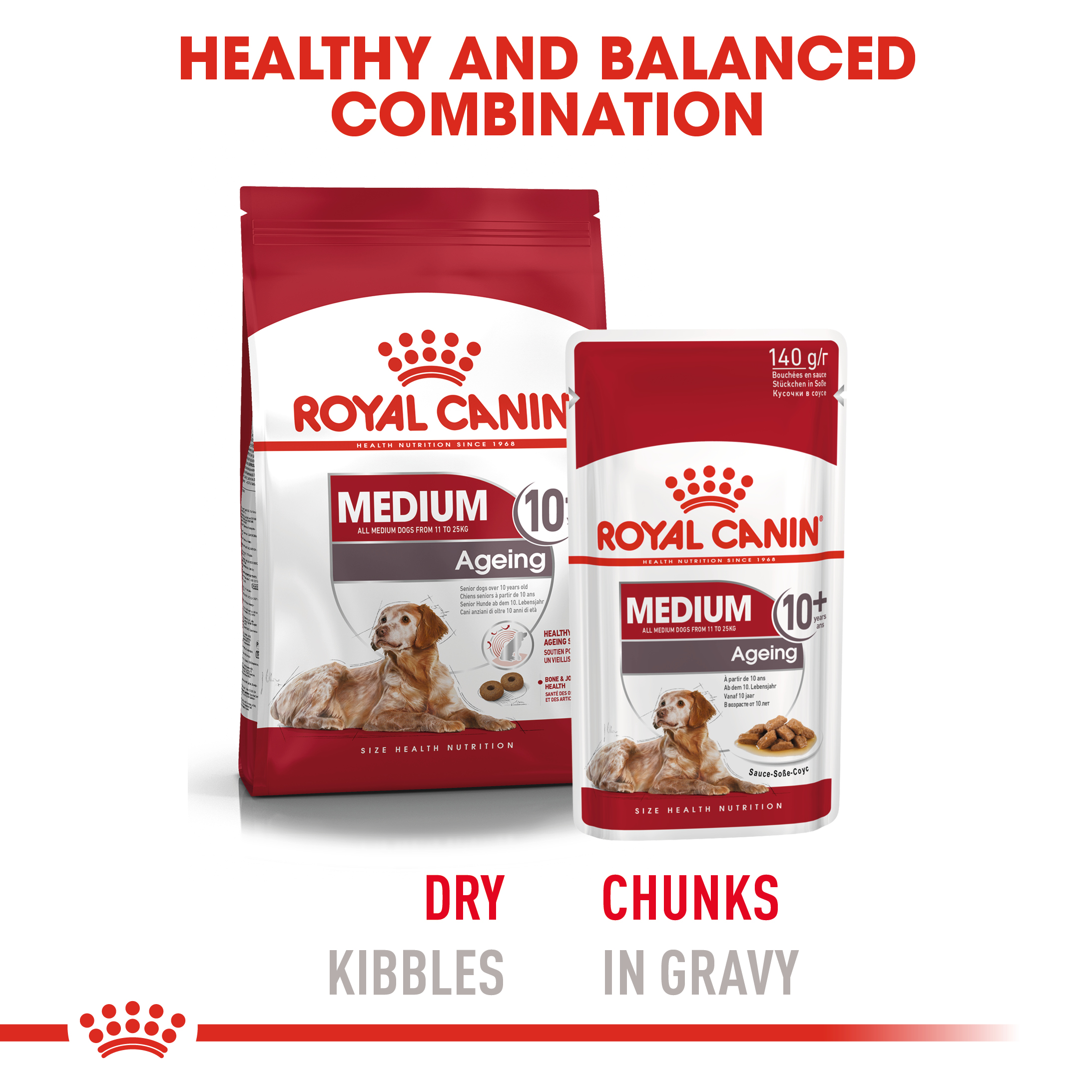 Royal Canin Medium Ageing 10+ 10 x 140g