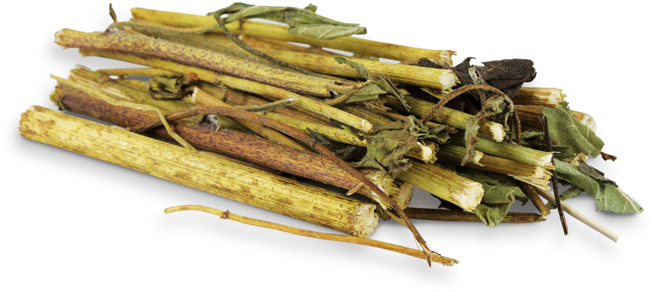 JR FARM Topinambur-Stäbchen