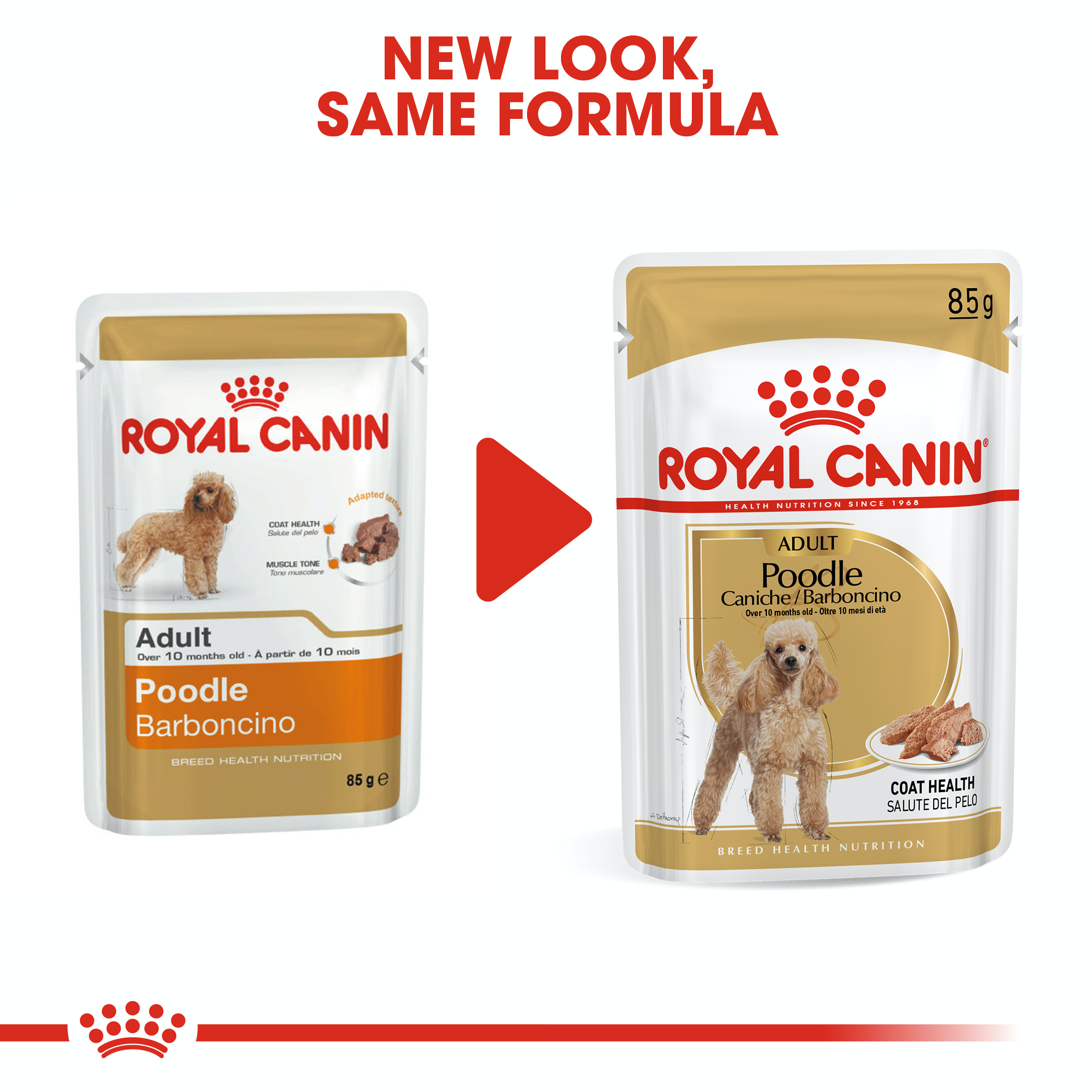 Royal Canin Poodle 12 x 85g