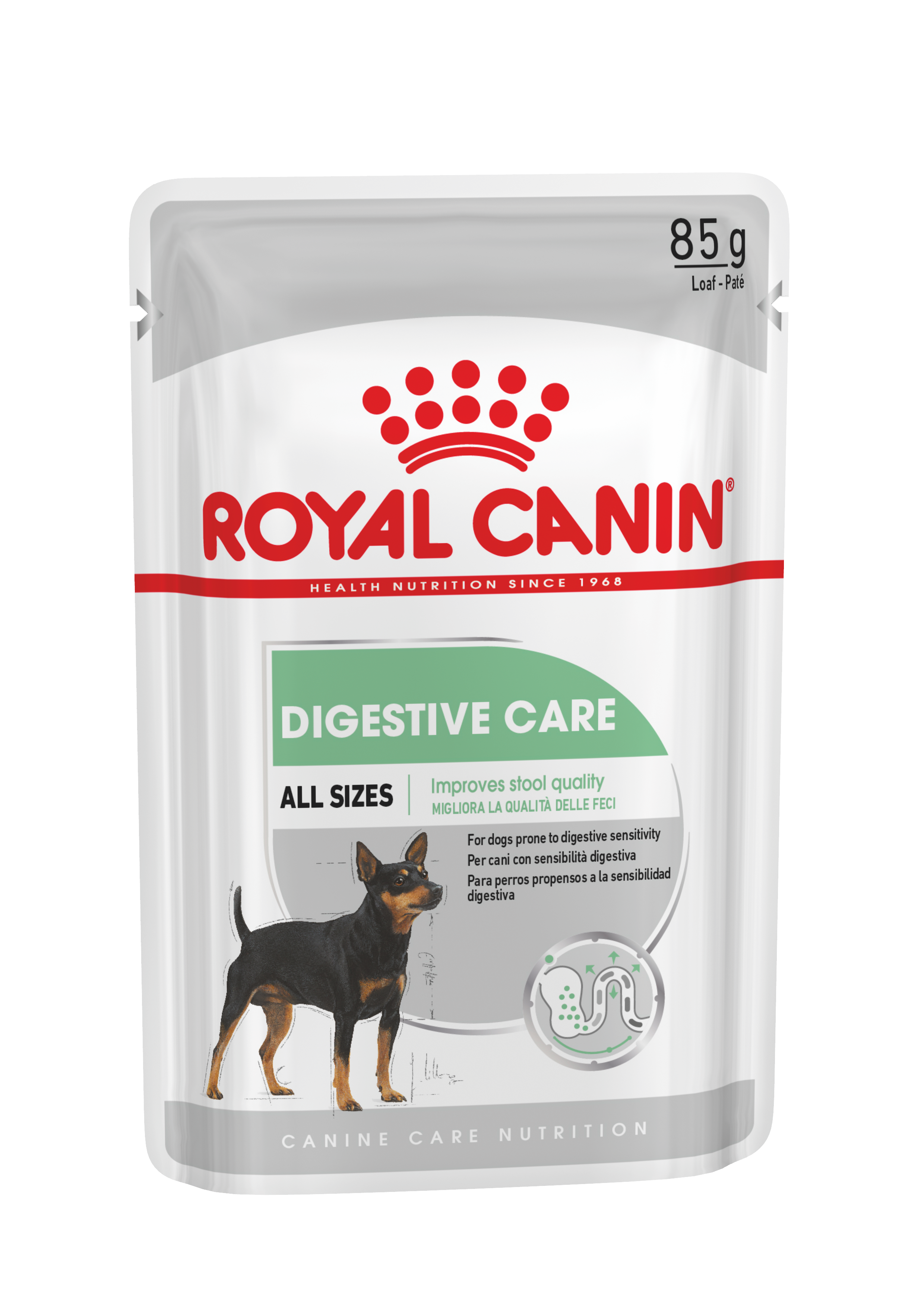 Royal Canin Digestive Care 12 x 85g