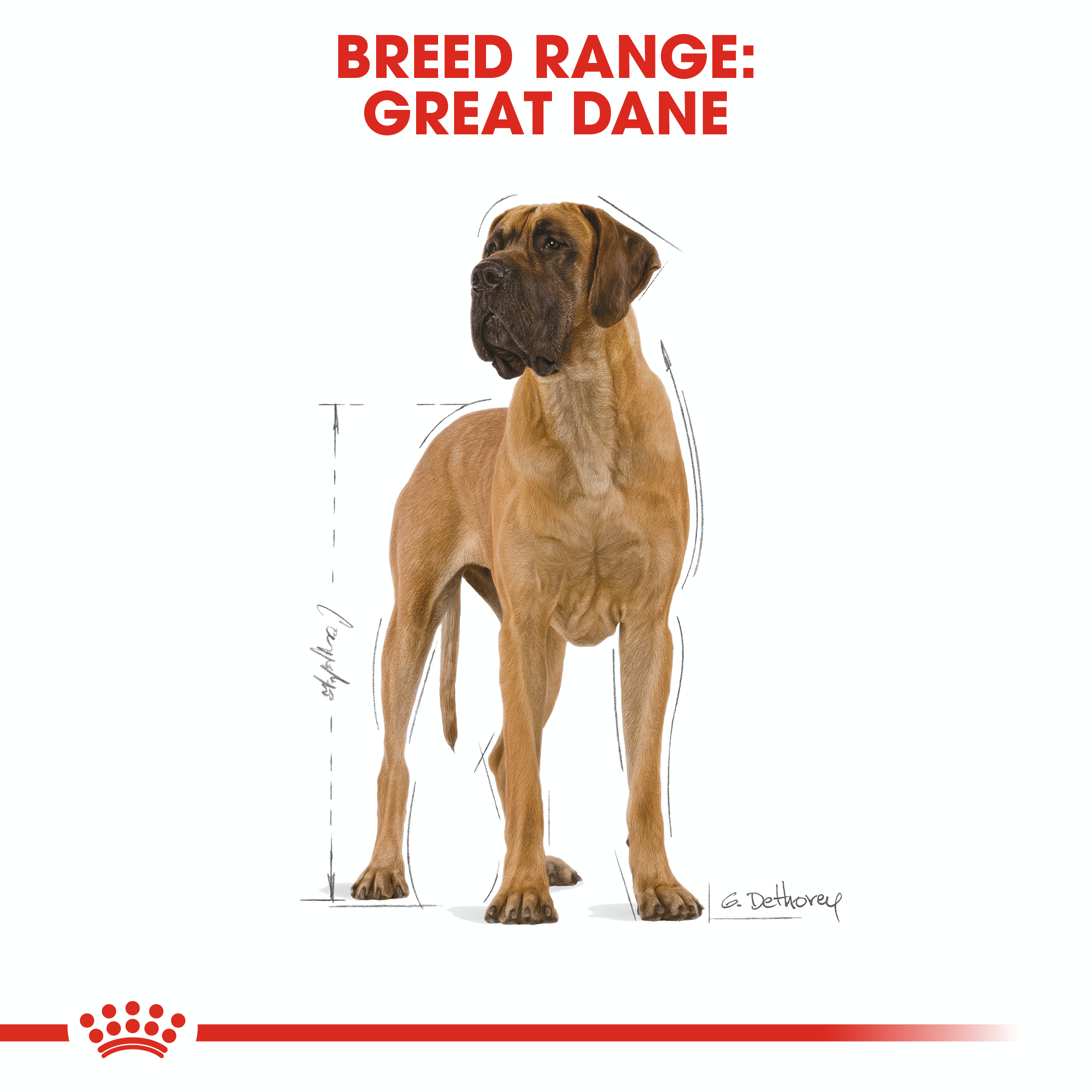 Royal Canin Great Dane 12kg