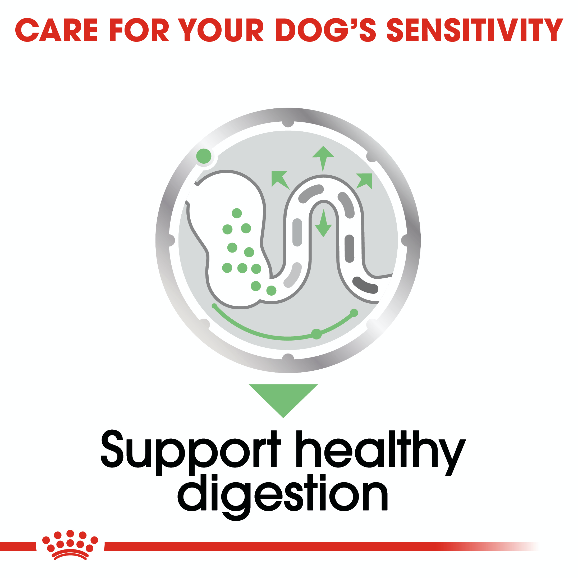 Royal Canin Digestive Care 12 x 85g