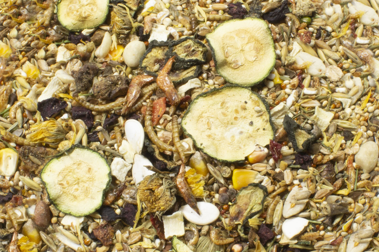 JR Farm Food Zwerghamster