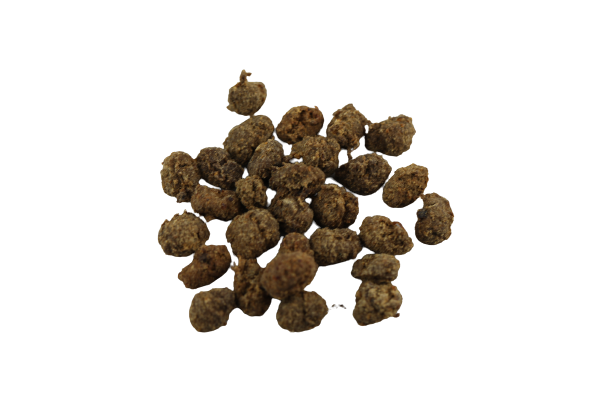 For You Softis Beef Dog Snack