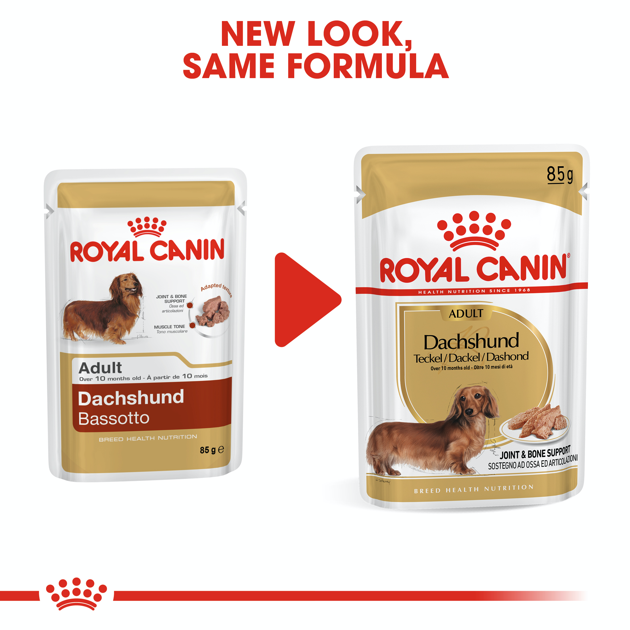 Royal Canin Dachshund 12 x 85g