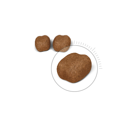 Royal Canin Oral Care