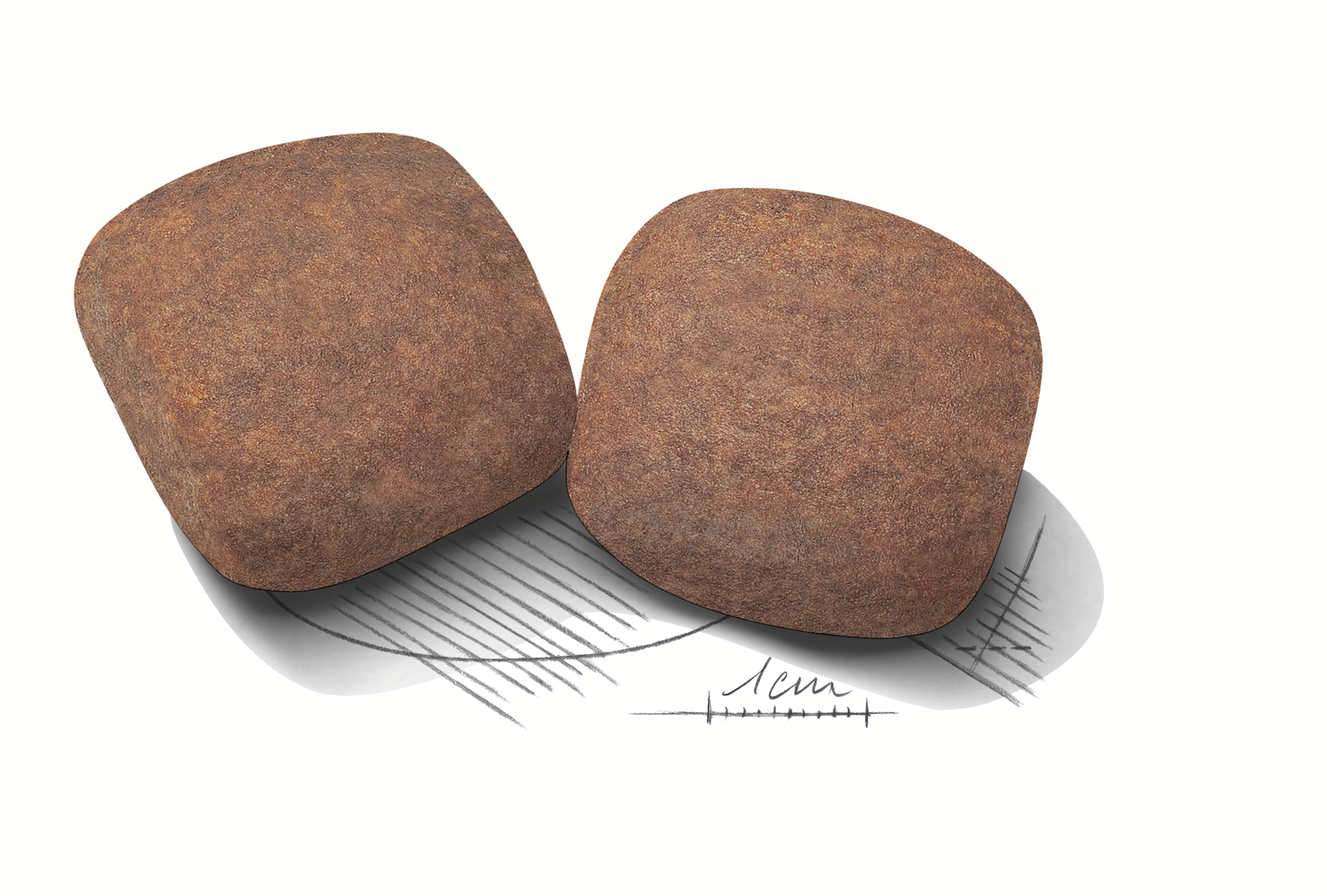 Royal Canin Giant Adult 15kg