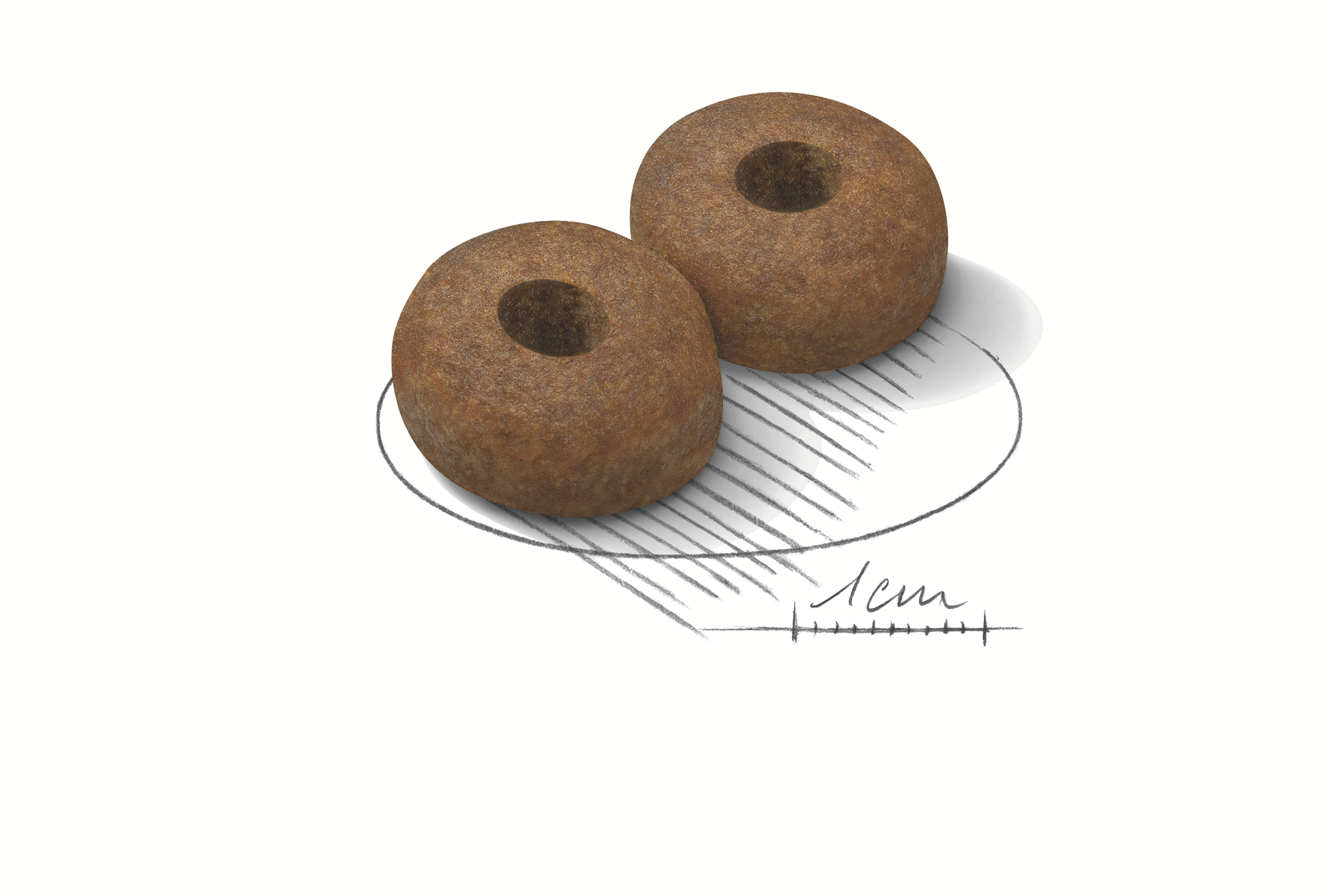 Royal Canin Maxi Ageing 8+