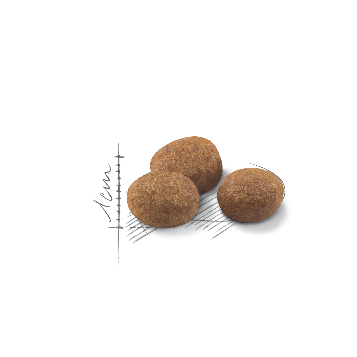 Royal Canin Sterilised 7+