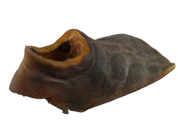 Kamel- Kau   (Kopfhaut) ultrahart