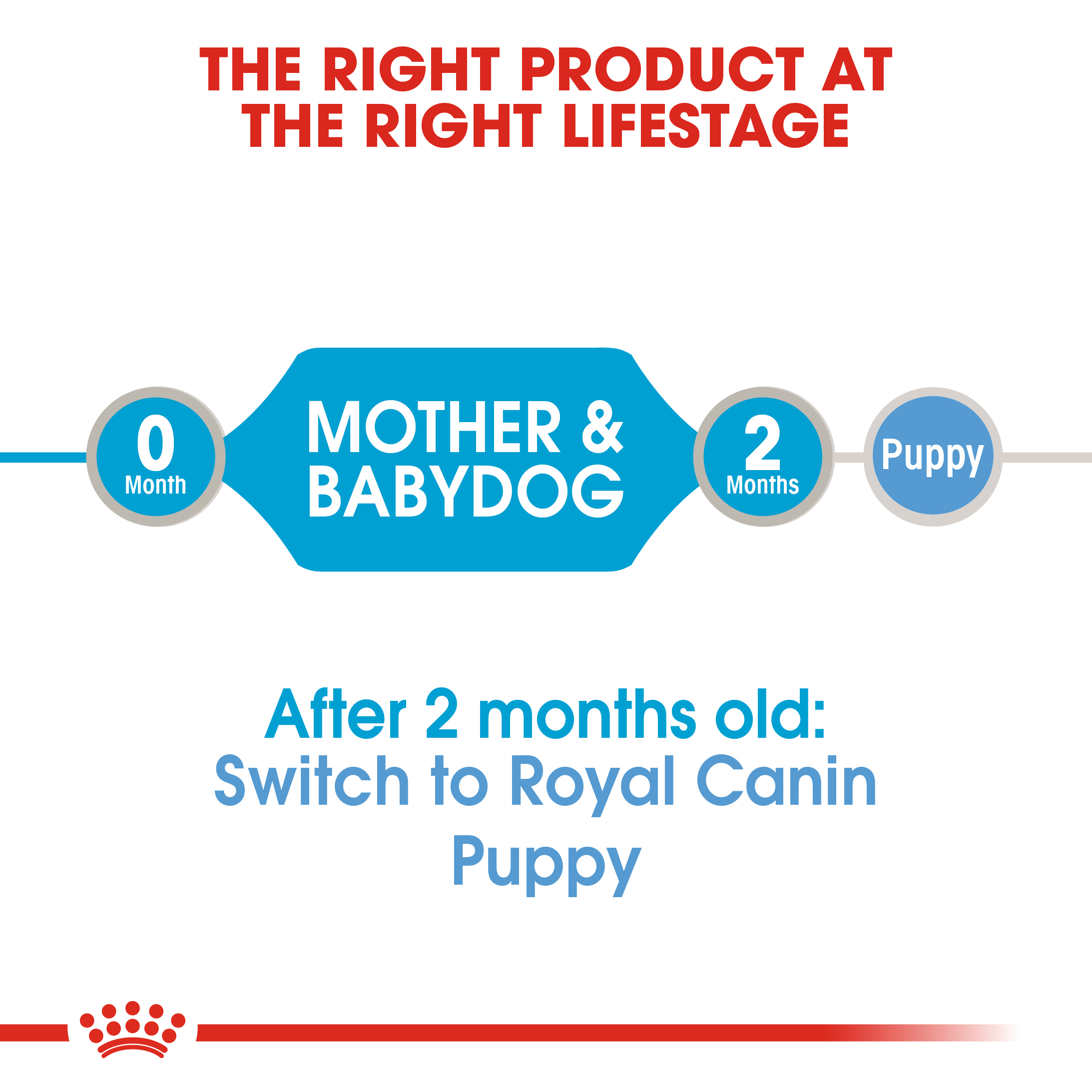 Royal Canin Starter Mousse 195g
