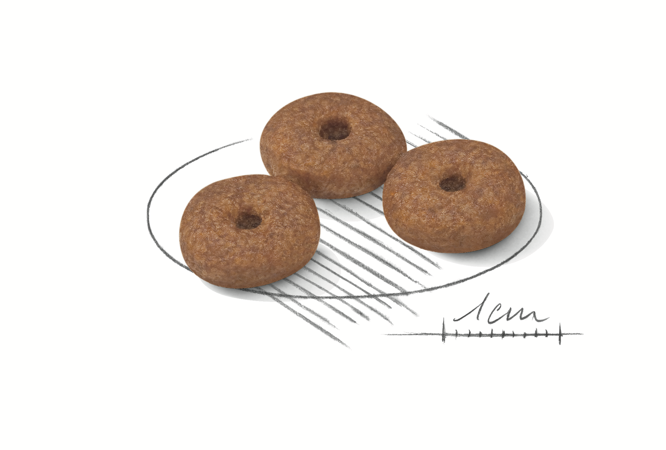 Royal Canin Mini Ageing 12+