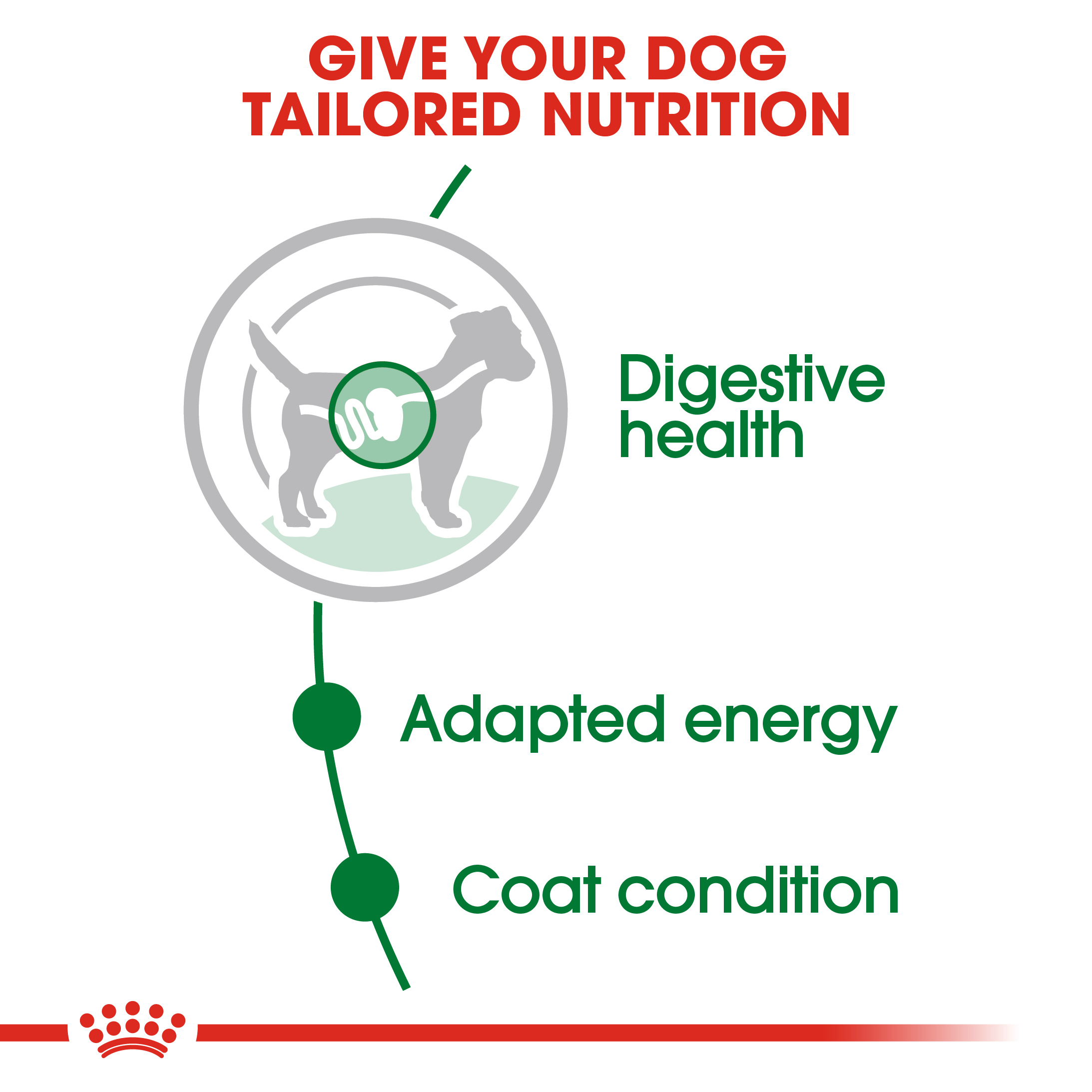 Royal Canin Mini Adult 12 x 85g