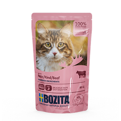 BOZITA HÄPPCHEN IN SOSSE MIT RIND 12 x 85g