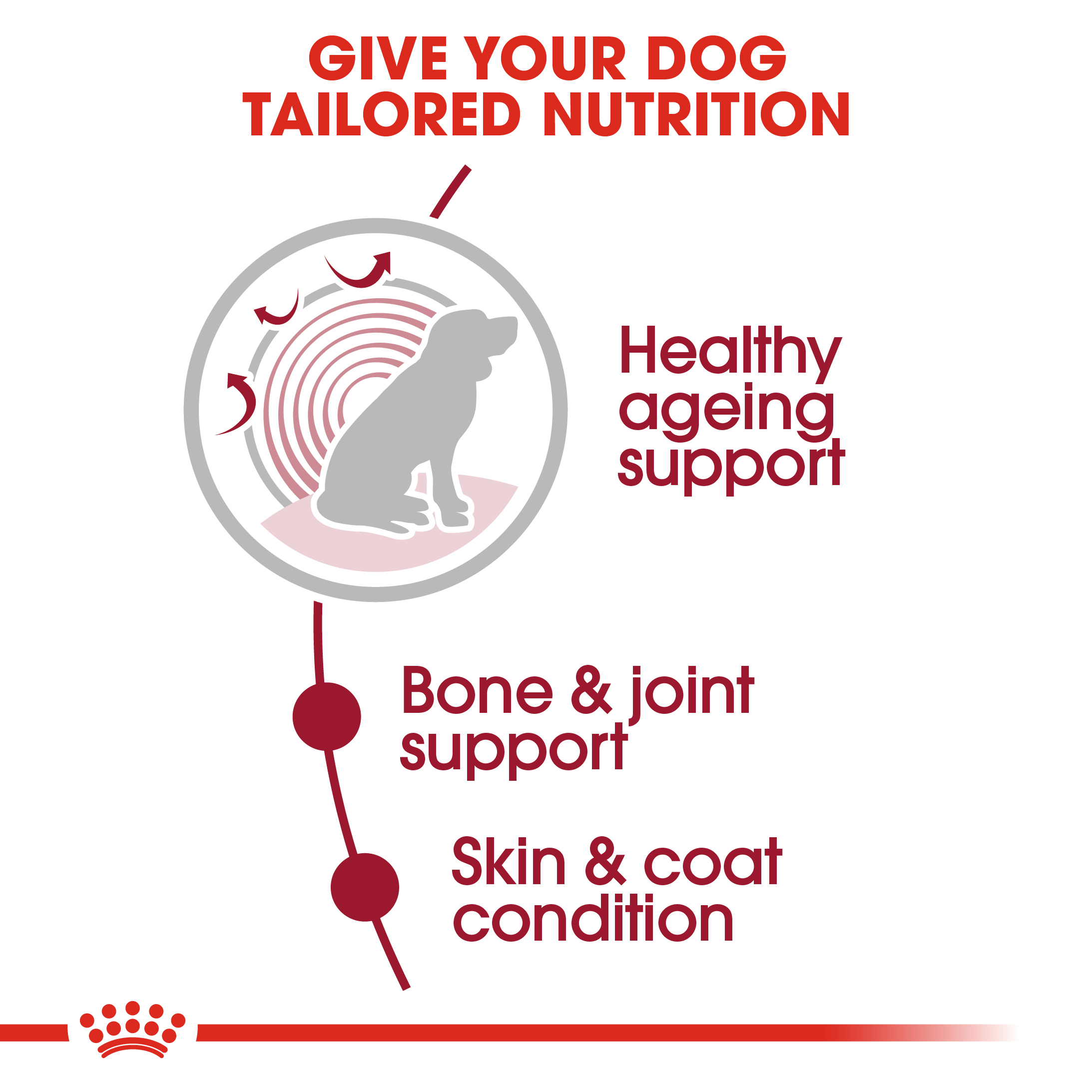 Royal Canin Medium Ageing 10+ 10 x 140g