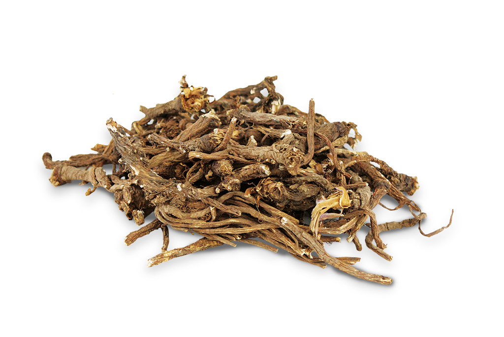 JR Farm Löwenzahn - Wurzeln 50 g