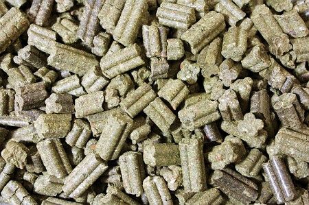 JR Grainless Complete Zwergkaninchen