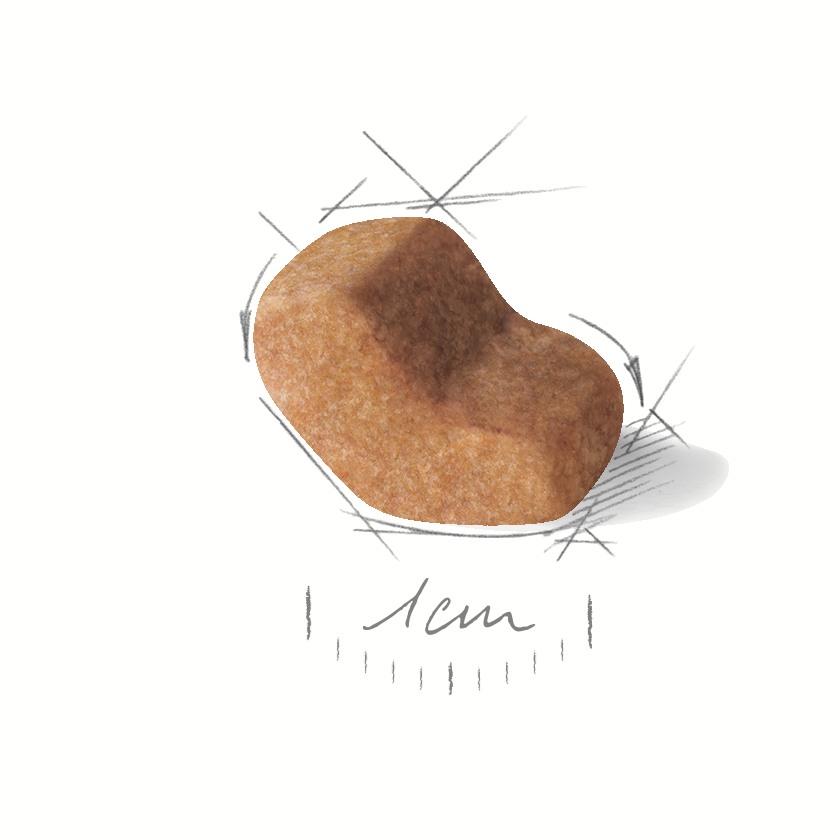 Royal Canin Shih Tzu 1,5kg