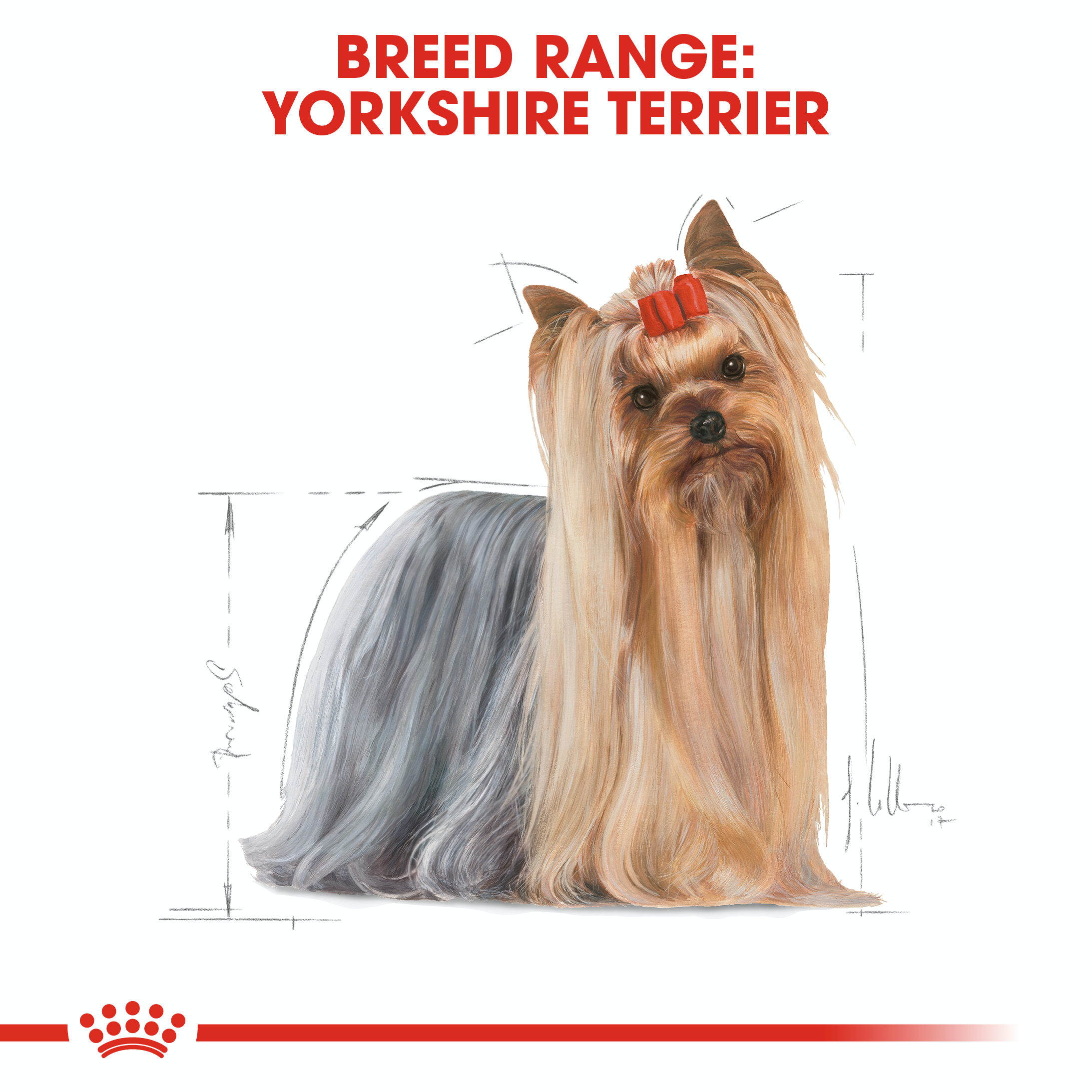 Royal Canin Yorkshire Terrier 12 x 85g