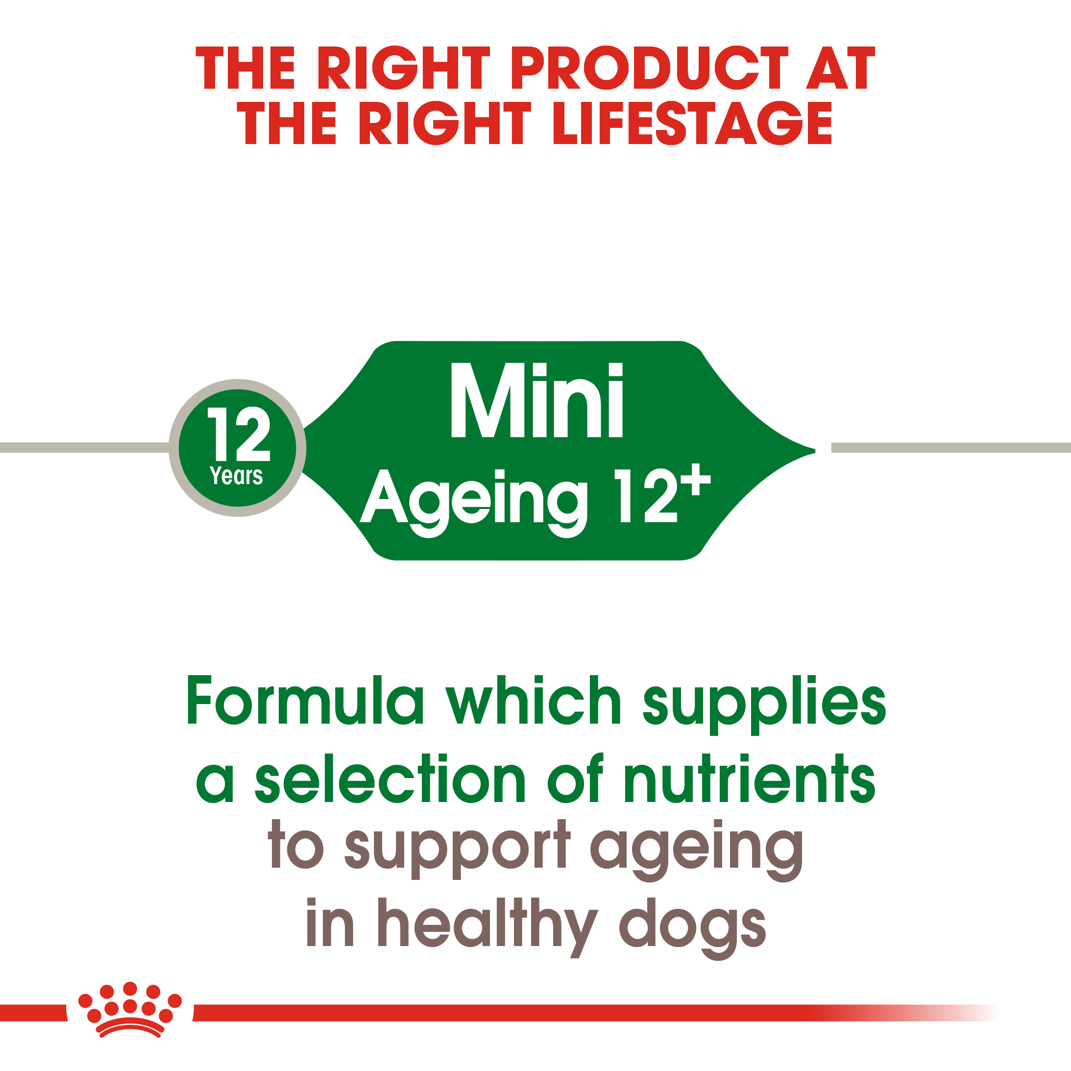 Royal Canin Mini Ageing 12+