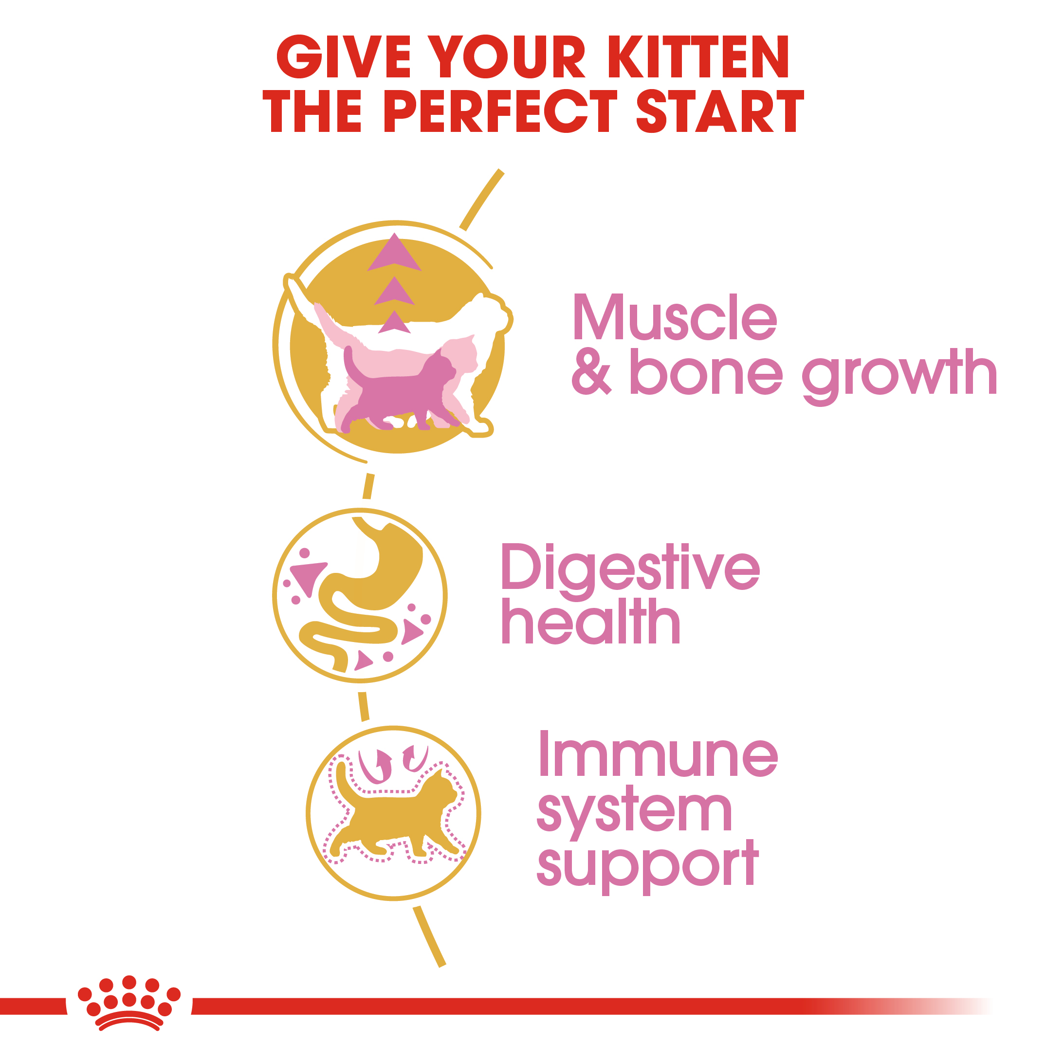Royal Canin Kitten British Shorthair