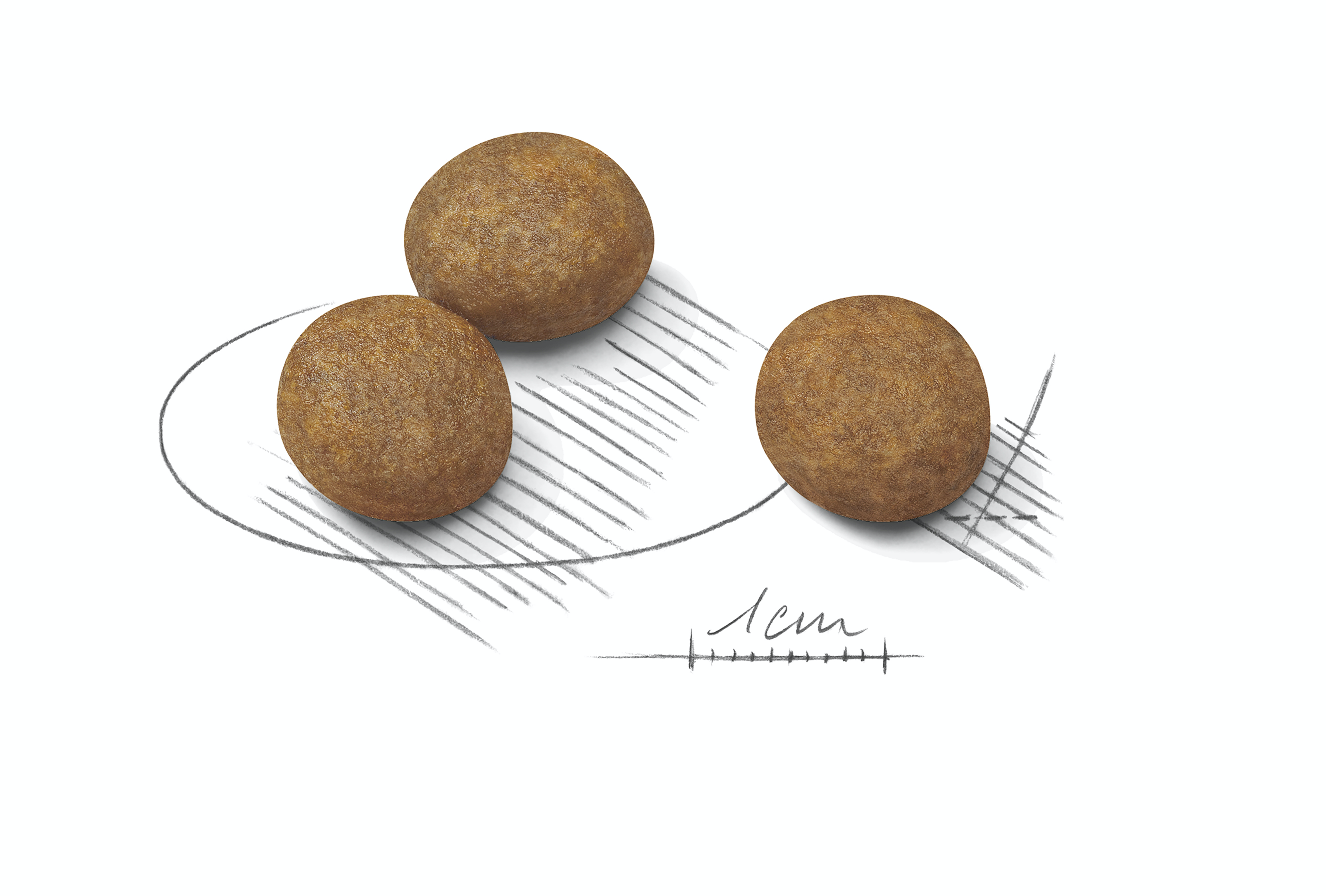 Royal Canin Maxi Puppy