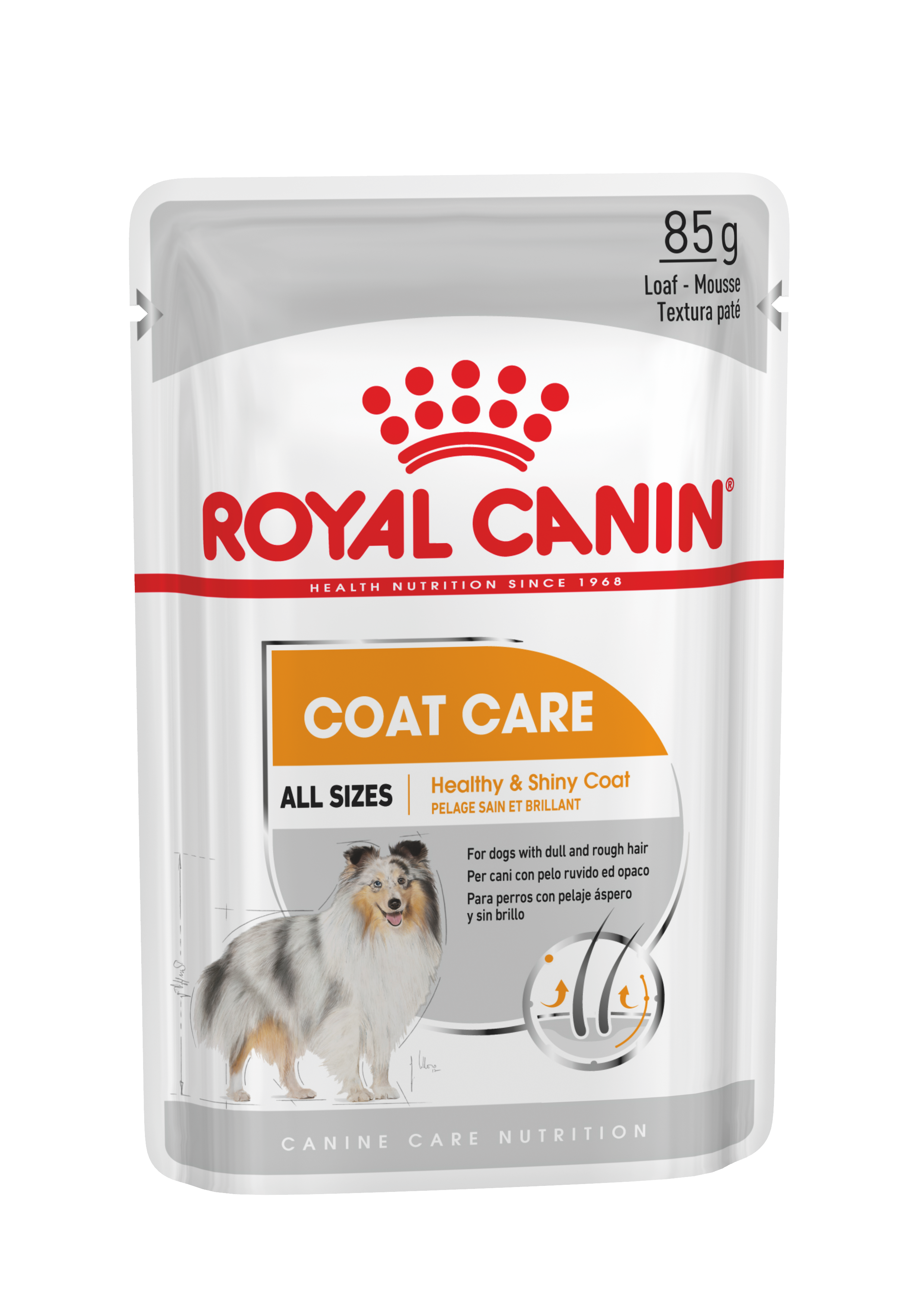 Royal Canin Coat Care 12 x 85g