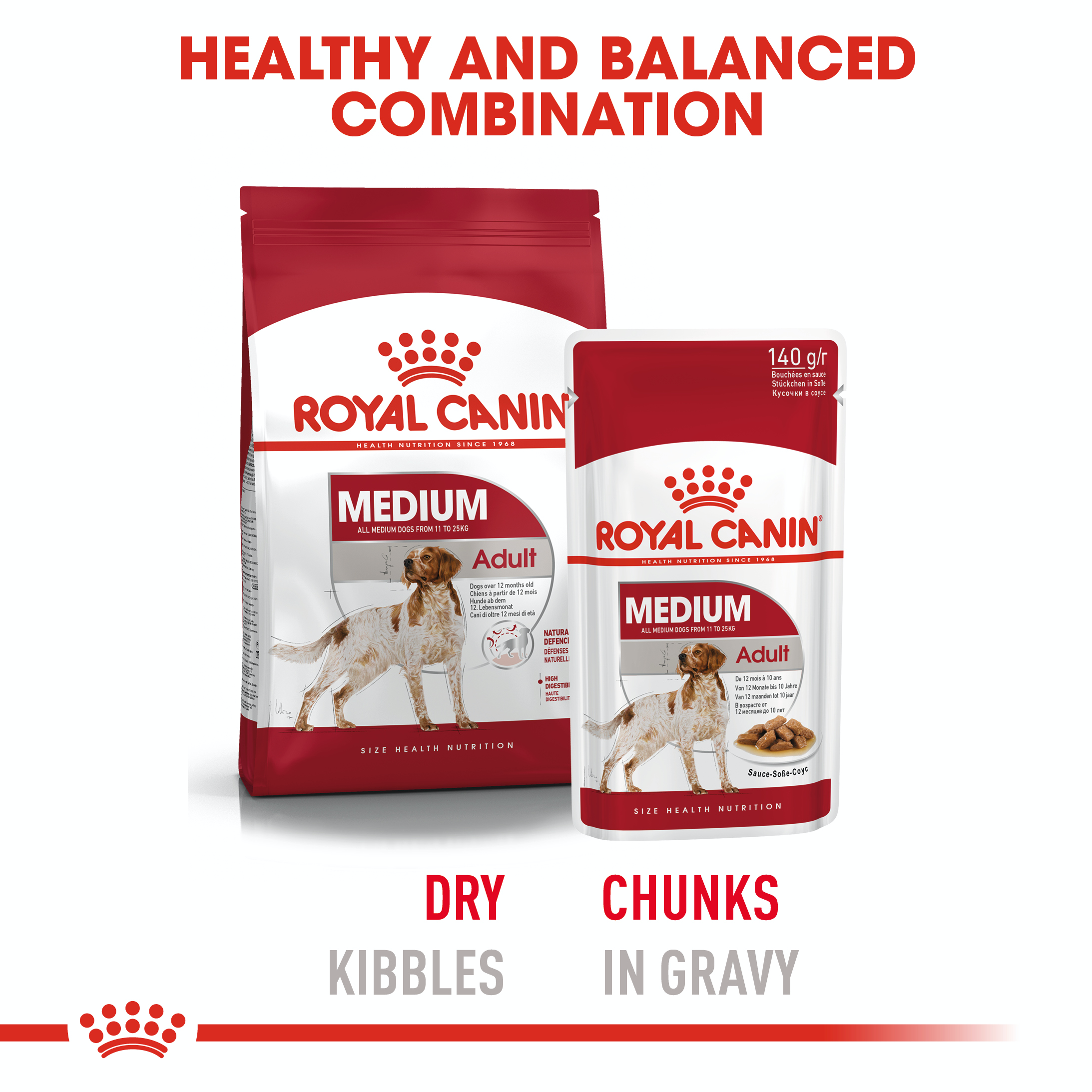 Royal Canin Medium Adult 10 x 140g