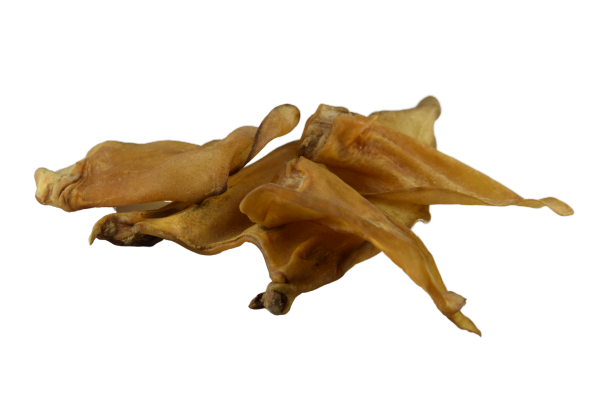 Rinder - Ohren ohne Muschel