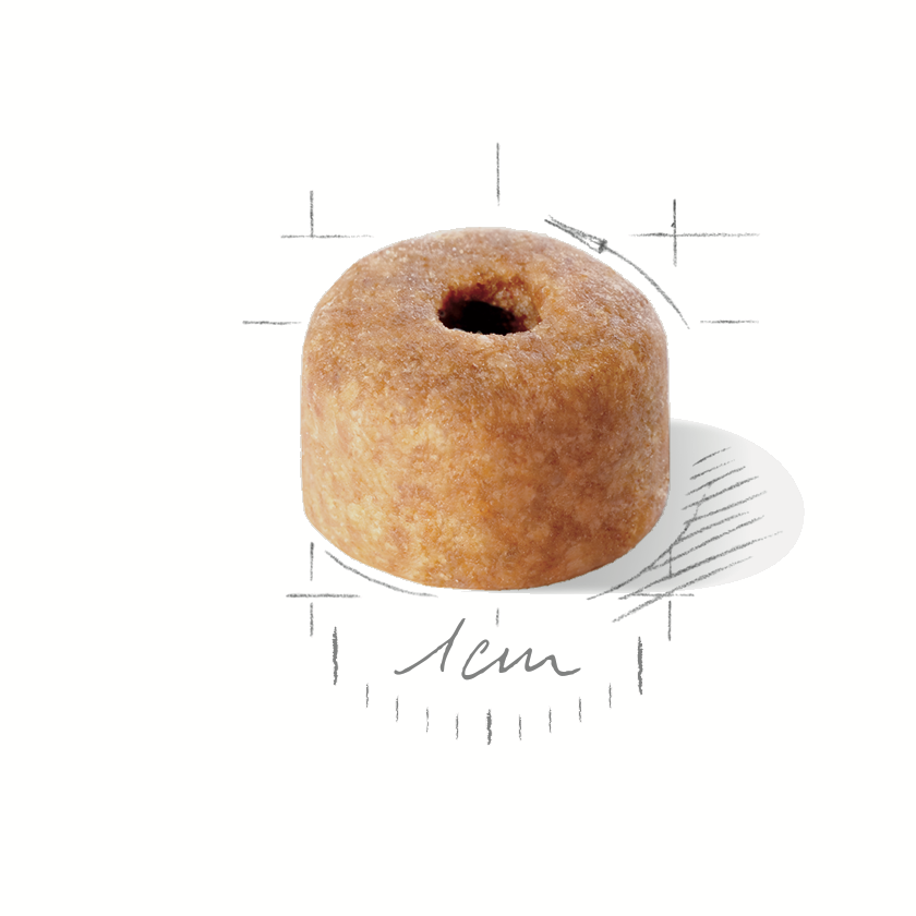 Royal Canin Labrador Junior