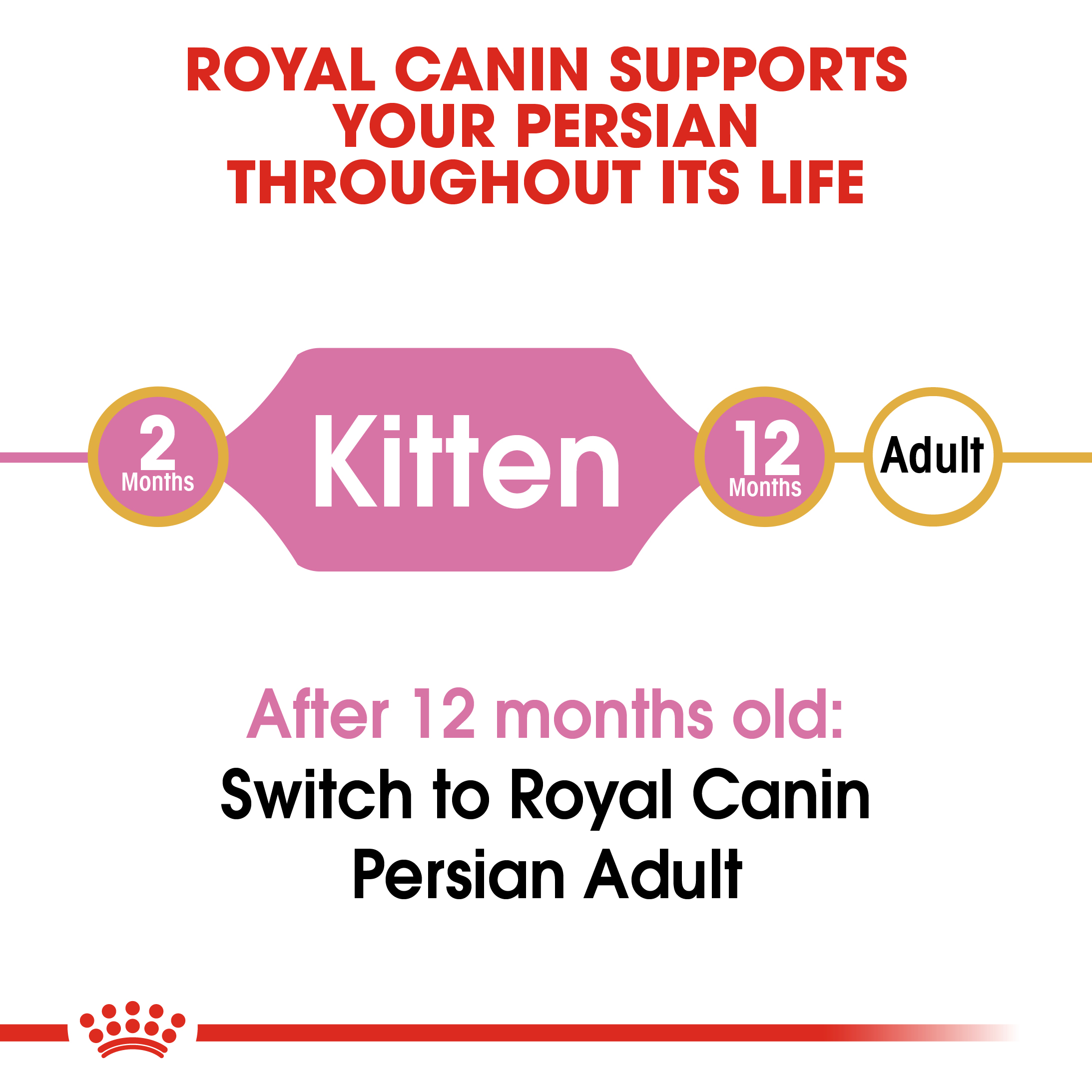 Royal Canin Kitten Persian
