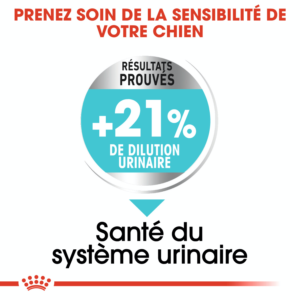 Royal Canin Urinary Care