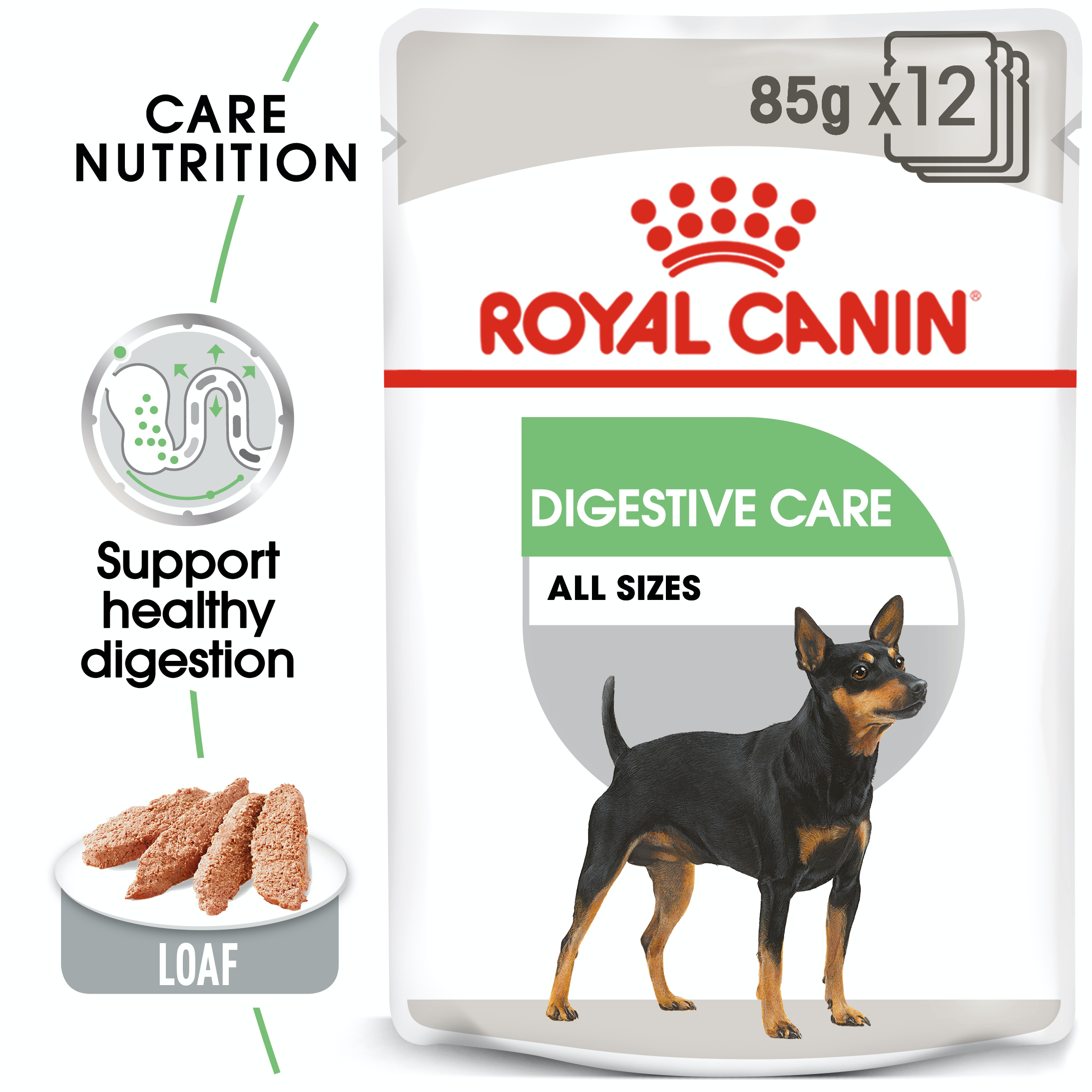 Royal Canin Digestive Care 12 x 85g
